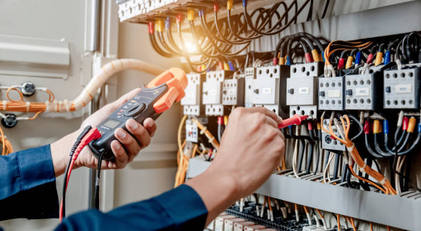Best Electric Panel Repair  in Dundas, MN